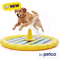 Leaps & Bounds Splash Pad Outdoor Toy for Dogs