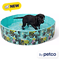 Leaps & Bounds Foldable Large Pool for Pets