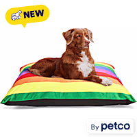 EveryYay Pride Rainbow Lounger Dog Bed