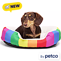EveryYay Pride Rainbow Oval Cuddler Pet Bed
