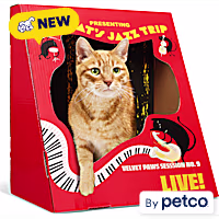 EveryYay Jazz Poster Cat Scratch Condo