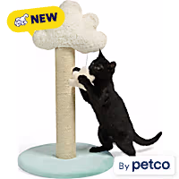 EveryYay Cloud Cat Scratch Post