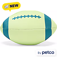 Leaps & Bounds Floating Football Dog Toy