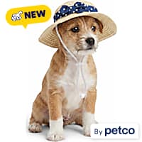 YOULY Raffia Pet Bucket Hat