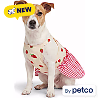YOULY Red, White & Blue Striped Pet Dress