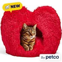 Petco $6 Gift Card US Buy Cheap On