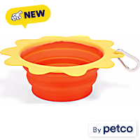 EveryYay Sun Collapsible Travel Pet Bowl
