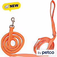 YOULY Bungee Recall Training Dog Leash