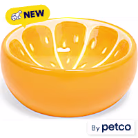 EveryYay Orange Slices Ceramic Cat Bowl