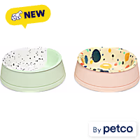 EveryYay Assorted Silicone Base with Stainless Steel Insert Cat Bowl