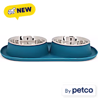 EveryYay Silicone Double Diner Base with Stainless Seel Inserts Cat Bowl