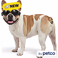 YOULY Dog Goggles Eyewear