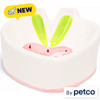 EveryYay Strawberry Elevated Ceramic Dog Bowl