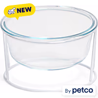 EveryYay Elevated Glass Dog Bowl with Metal Stand