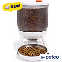 EveryYay Modern Lifted Automatic Pet Feeder