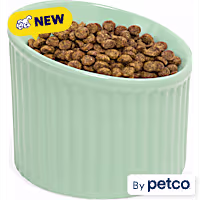 EveryYay Elevated Fluted Ceramic Dog Bowl