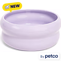 EveryYay Purple Ceramic Bubble Dog Bowl