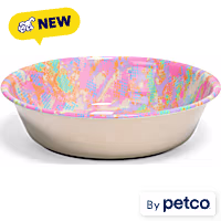 EveryYay Printed Stainless Steel Dog Bowl