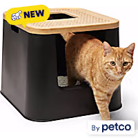 automatic interactive cat toys Cat Sitter – Pets Kingdom main image 0