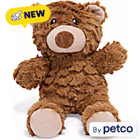Leaps & Bounds Teddy Bear 2-in-1 Plush Rope Dog Toy