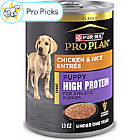 Purina Pro Plan Sport High Protein Chicken and Rice Entree Formula Wet Puppy Food