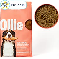 Ollie Baked Beef Dish with Sweet Potatoes Dry Dog Food