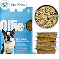 Ollie Fresh Turkey Dish with Blueberries Fresh Frozen Dog Food