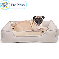 Petco Taupe Bolster Box Dog Bed