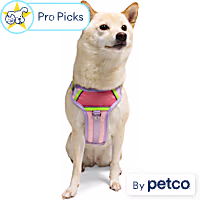 YOULY Adventure Reflective Dog Harness