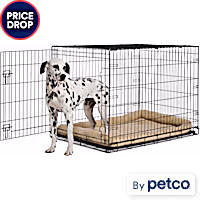 EveryYay 1-Door Dog Crate