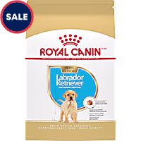 Royal Canin Breed Health Nutrition Labrador Retriever Puppy Dry Dog Food