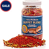 Petco bearded dragon food online