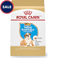 Royal Canin Breed Health Nutrition Bulldog Puppy Dry Dog Food