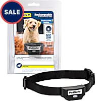 Electronic Bark Collars Wireless Fences Petco