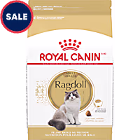 Royal Canin Feline Breed Nutrition Ragdoll Adult Dry Cat Food
