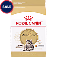 Royal Canin Feline Breed Nutrition Persian Adult Dry Cat Food