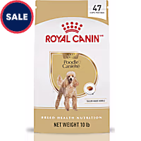 Royal Canin Breed Health Nutrition Poodle Adult Dry Dog Food
