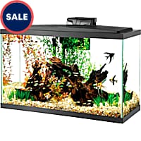 Petco 1 dollar gallon sale shop