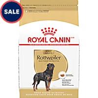 Royal Canin Breed Health Nutrition Rottweiler Adult Dry Dog Food