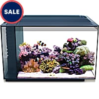 Saltwater Aquariums Kits Free Shipping Petco