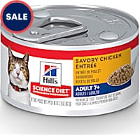 Best cat food for older cats sales