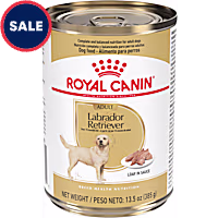 Royal Canin Breed Health Nutrition Labrador Retriever Adult Loaf in Sauce Dog Food