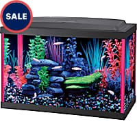 Petco hexagon clearance fish tank