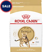 Royal Canin Feline Breed Nutrition Bengal Adult Dry Cat Food