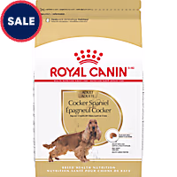 Royal Canin Breed Health Nutrition Cocker Spaniel Adult Dry Dog Food