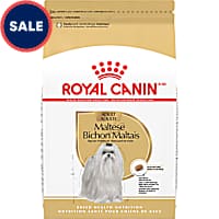 Royal Canin Breed Health Nutrition Maltese Adult Dry Dog Food