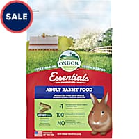 Bunny sales food price