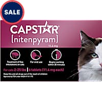 Cat Flea Medicine Flea Tick Treatments Petco