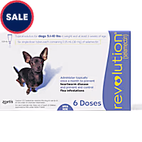 Revolution Topical Solution for Dogs 5.1-10 lbs