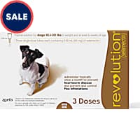 Revolution Topical Solution for Dogs 10.1-20 lbs